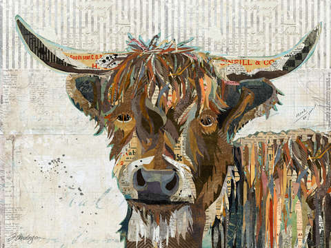 Colorful highland cow