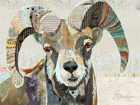 Wild bighorn sheep