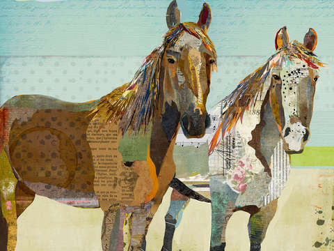 The neighbor horses