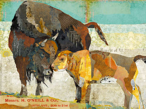 Bison and baby