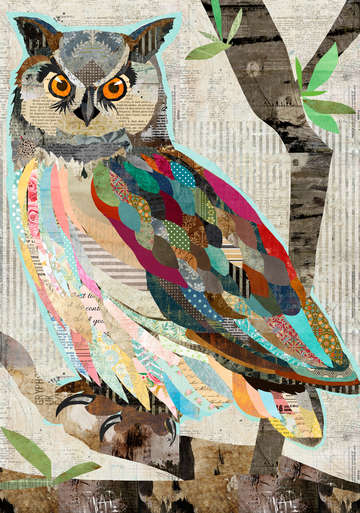 Bright eyed collage owl