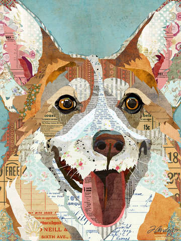 Collage welsh corgi