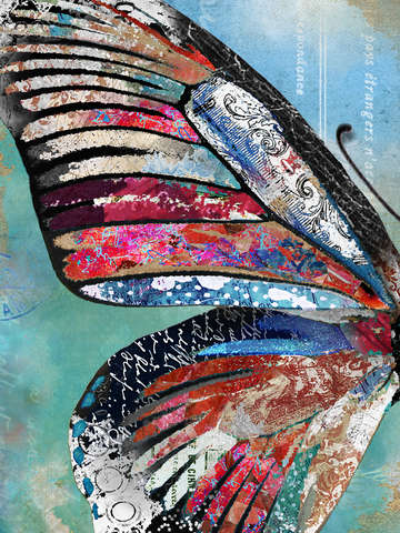Peaceful joy butterfly wing