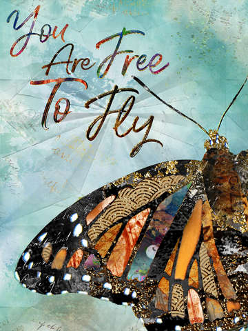 You are free to fly 2