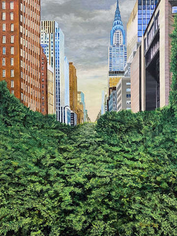 The concrete jungle