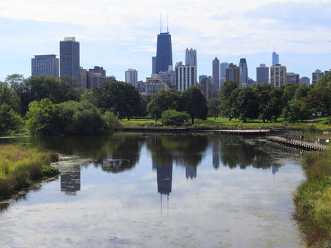 Chicago skyline from lincoln park