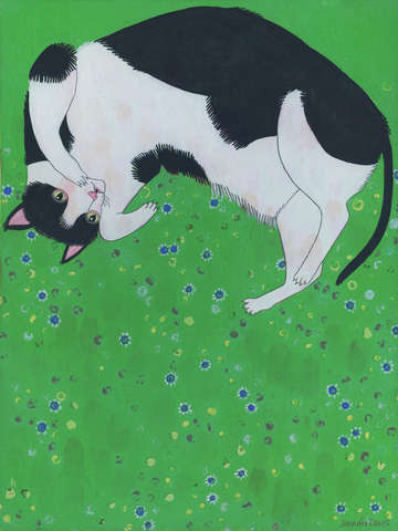 Cat 2