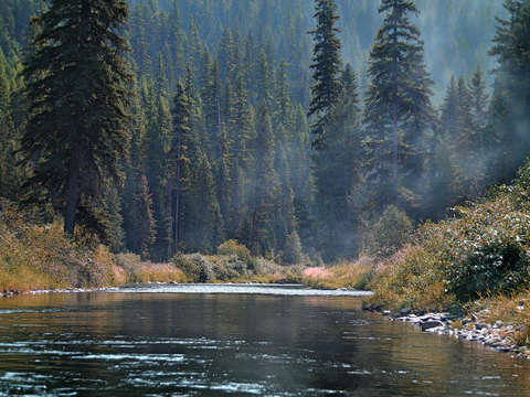 Thompson river