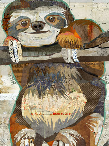 Smiling tree sloth