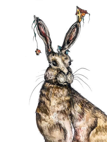 Hare over there