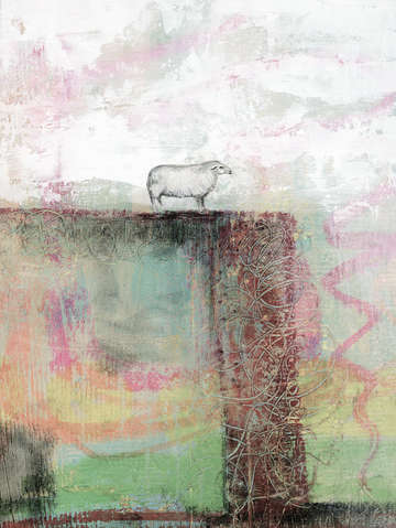 Sheep 1