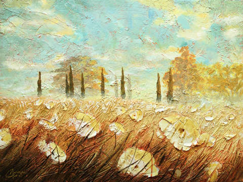 Field of white blossoms i