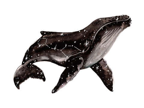 Cetus
