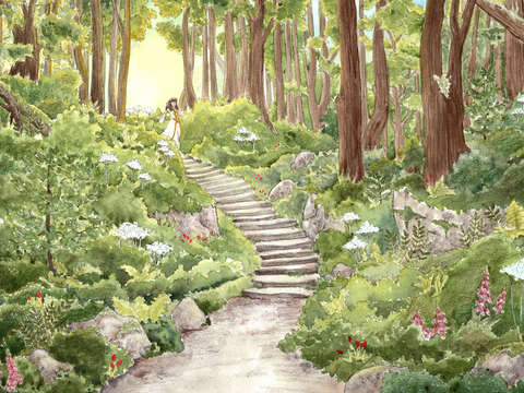 Forest walk 2