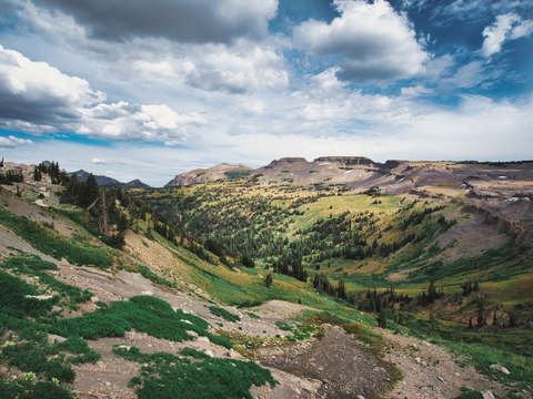 Fox creek pass