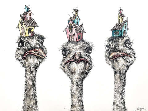The ostriches
