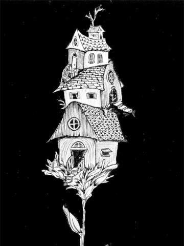 House plant 2