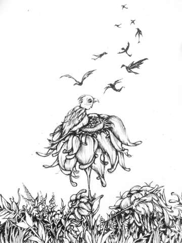 Fly away 6