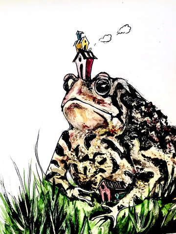 Old toad