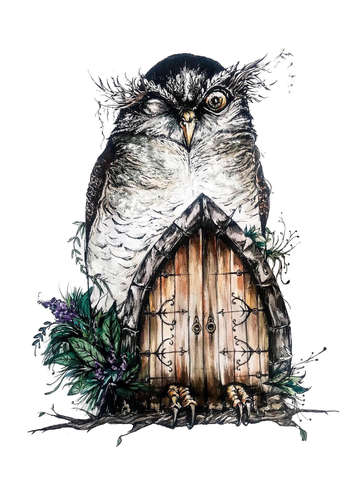 Wink owl