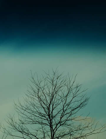 Shades of blue 1