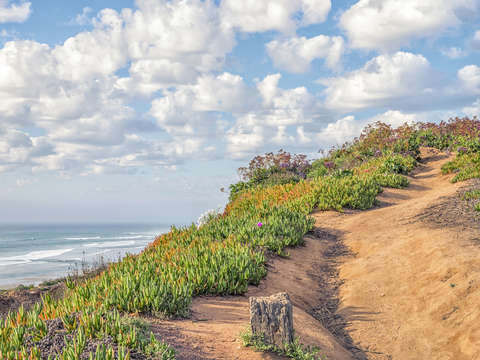 Up down the trail