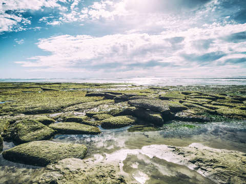 The beauty of a green reef