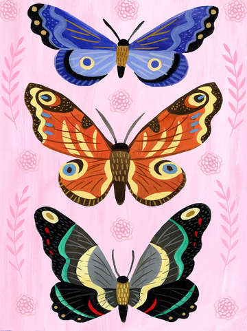 Trio of butterflies