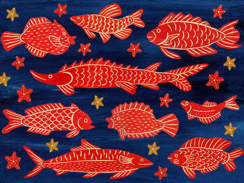 Red fish and sea stars