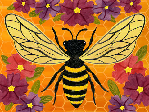 Honey bee and zinnias