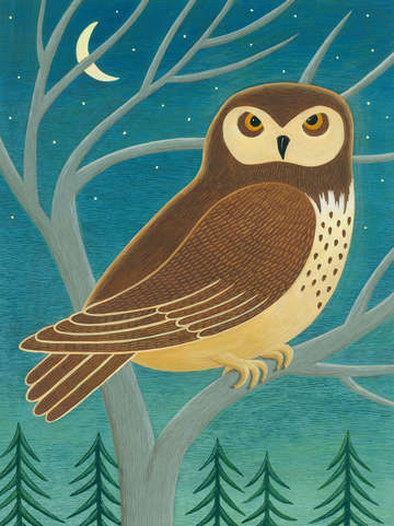 Owl and moon