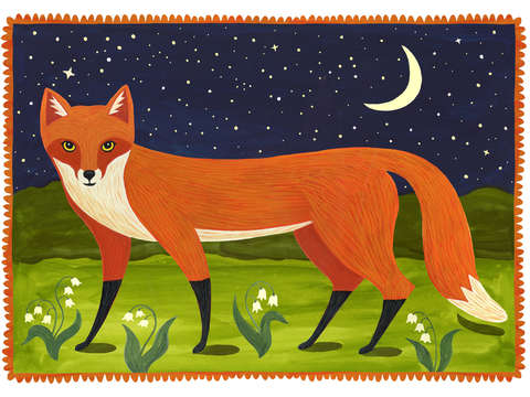 Fox at night