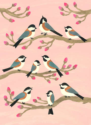 Chickadees