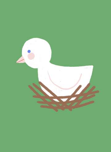Little bird