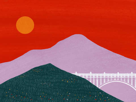 Hillside meadow