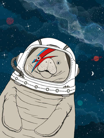 Space manatee