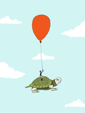 Turtle flight