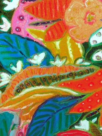 A garden