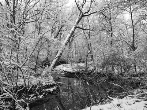 Winter stream
