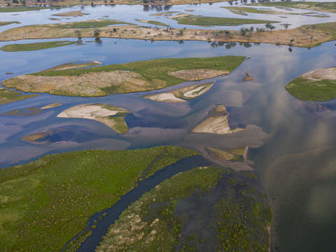 Zambezi river