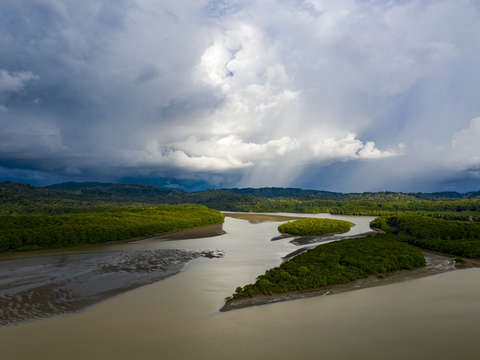 Zancudo costa rica