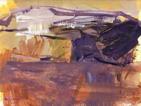 Arizona 15