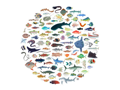 100 fish
