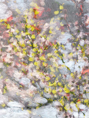 Spring flowers 8