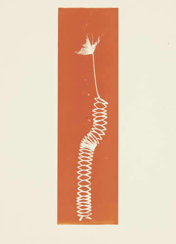 Audubon