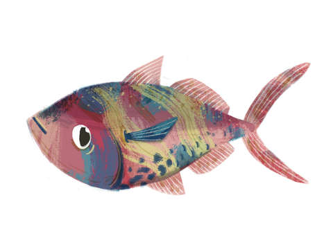 Pink fish