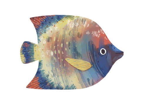 Primary fish