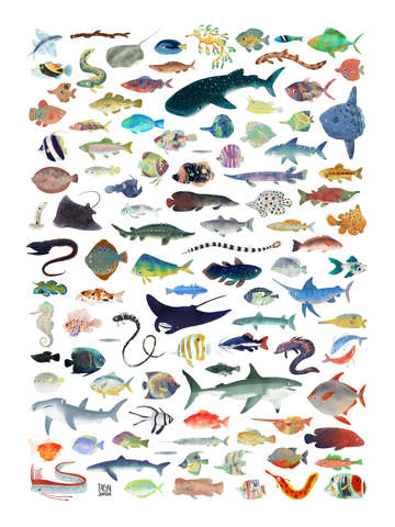 100 fish poster
