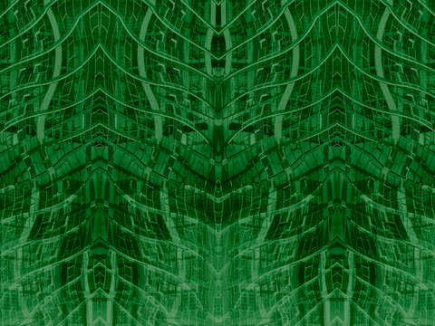 The matrix