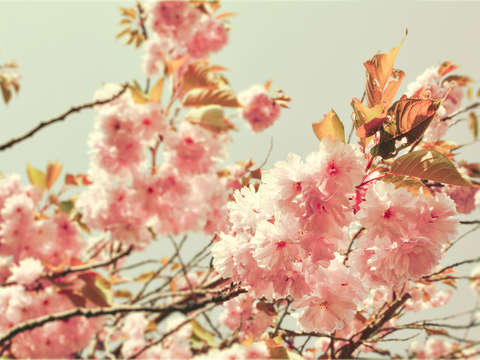 Happiness 5